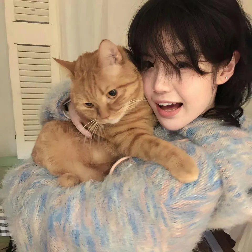 猛鬼街国语